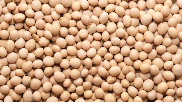 妊娠中の食事でおすすめは大豆
